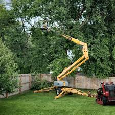 Best Lawn Grading and Leveling  in Manton, MI